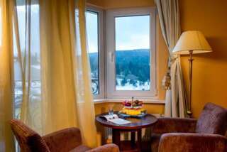Отель Kyivska Russ Resort Medical & Spa Сходница Улучшенный двухместный номер с 1 кроватью или 2 отдельными кроватями-13